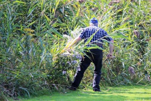 Primo Torneo Golf (80)